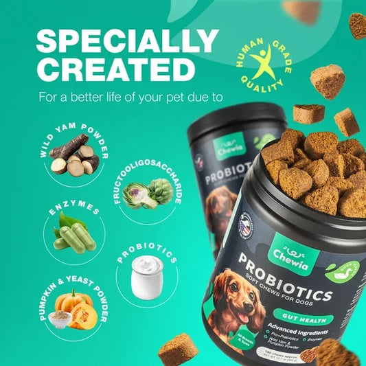 Probiotics For Dogs Gut Health Digestion Immunity Yeast Balance Itchy Skin Allergies Support Dog Probiotic Chews With Digestive Enzymes For Gut Flora Soft Treats With Pumpkin And Yeast Powder - Gleeful Tails