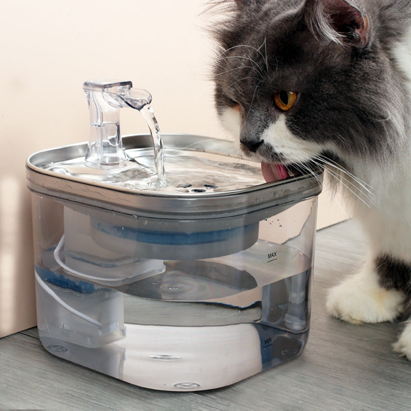 Pet Stainless Steel Automatic Water Dispenser