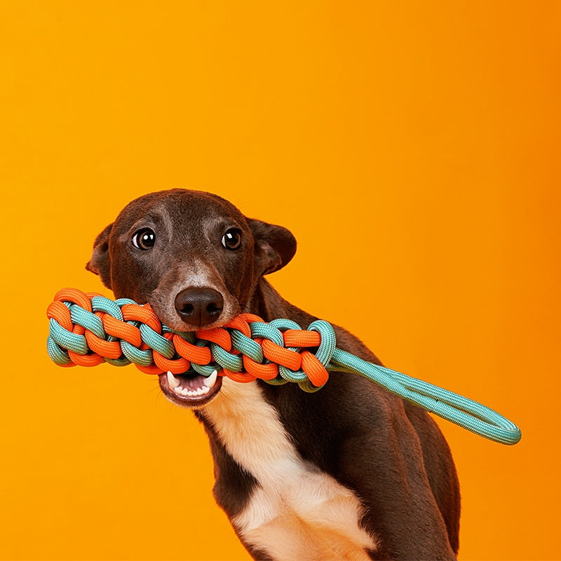 Interactive Dog Knot Toy