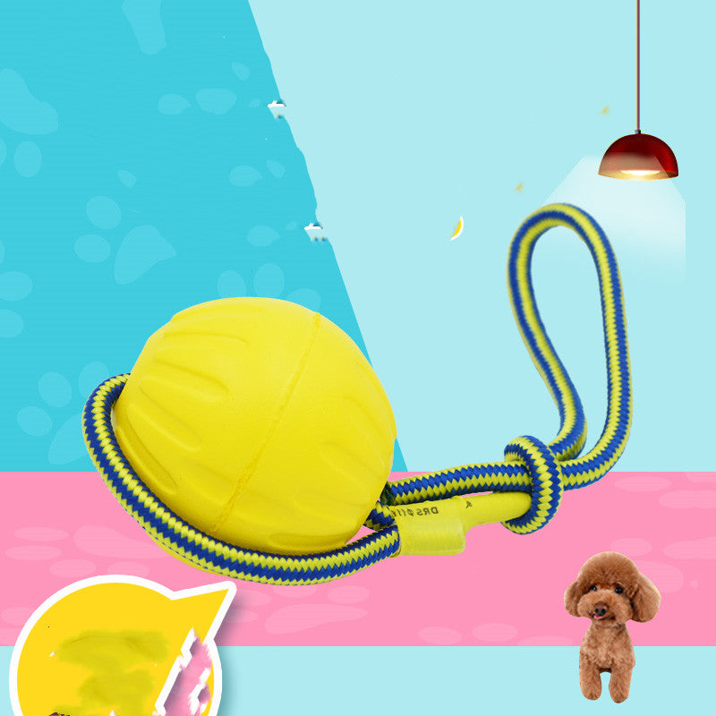 Bite Resistant Molar Interaction Pet toy