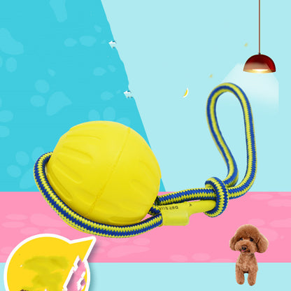 Bite Resistant Molar Interaction Pet toy