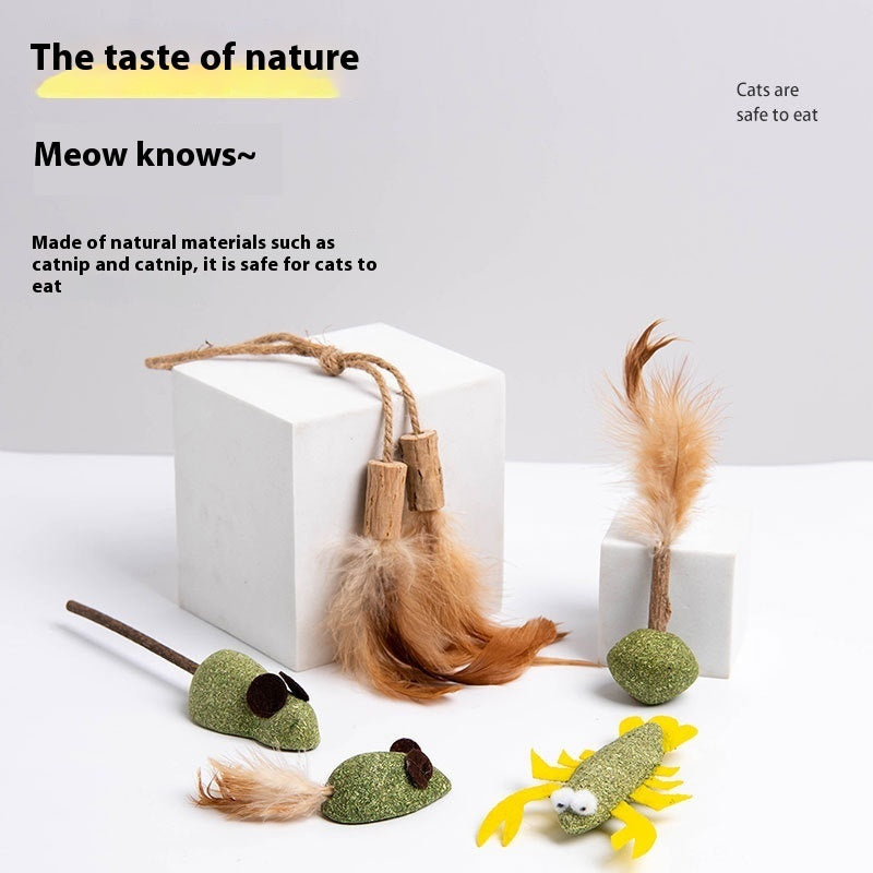 Multiflorum Catnip Self-Hi Toy