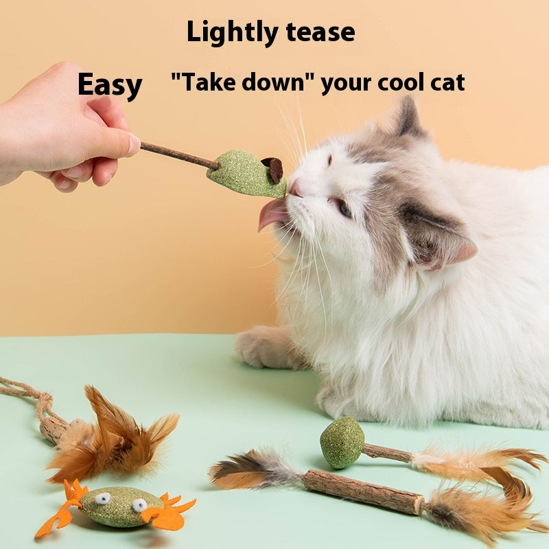 Multiflorum Catnip Self-Hi Toy