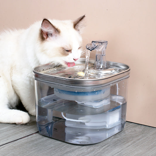 Pet Stainless Steel Automatic Water Dispenser