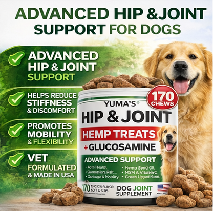 Hemp Hip And Joint Supplement For Dogs Glucosamine For Dogs Joint Pain Relief With MSM Advanced Dog Joint Supplement Health Glucosamine For Dogs Chews - Gleeful Tails