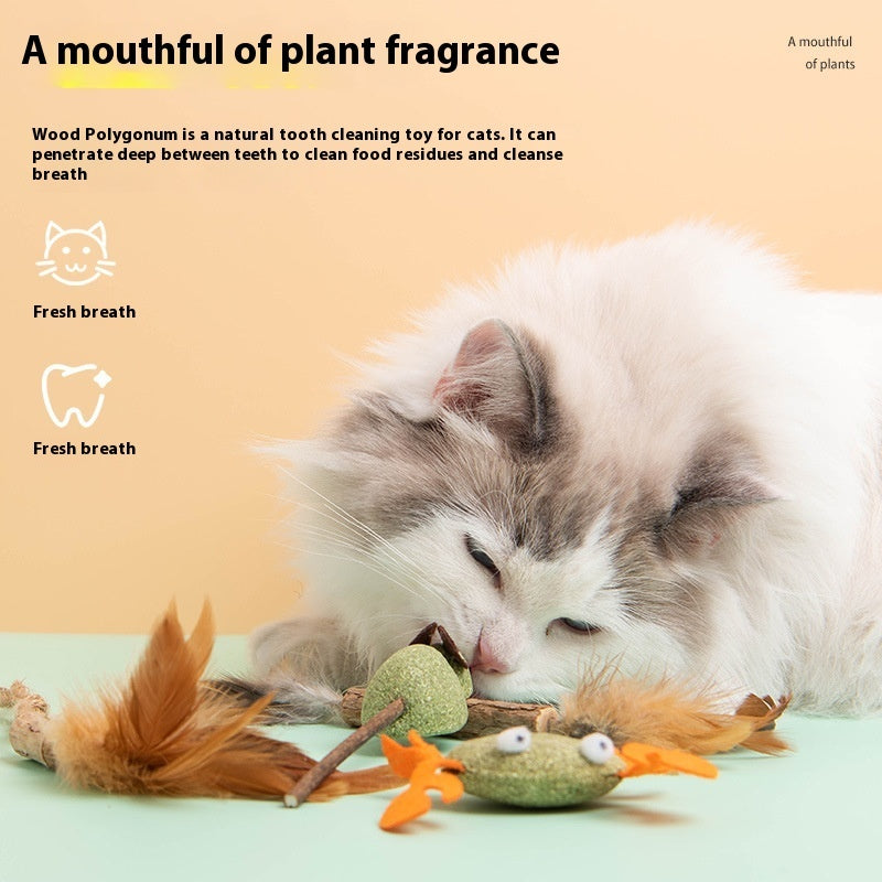 Multiflorum Catnip Self-Hi Toy