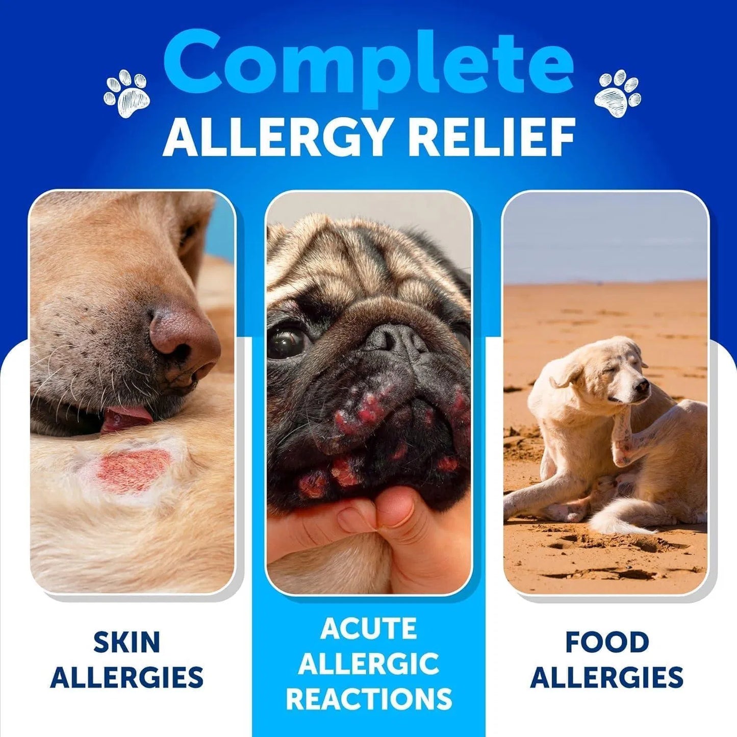 Dog Allergy Relief Chews Itching Skin Relief For Dogs Fish Oil 3 Seasonal Allergies Chews - Gleeful Tails