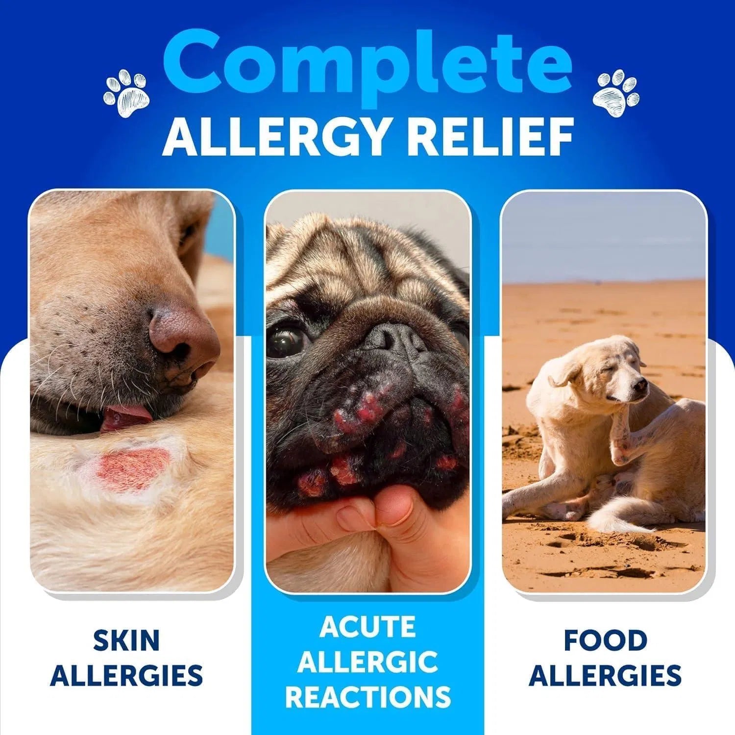 Dog Allergy Relief Chews Itching Skin Relief For Dogs Fish Oil 3 Seasonal Allergies Chews - Gleeful Tails
