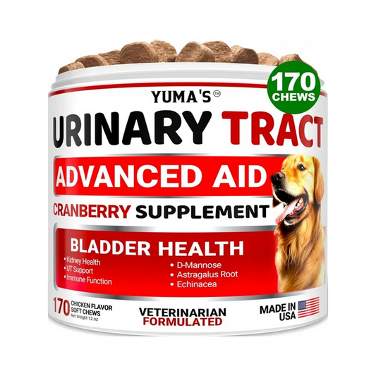 Dog UTI Treatment 170 Treats Cranberry Supplement For Dogs Bladder Control For Dogs - Gleeful Tails