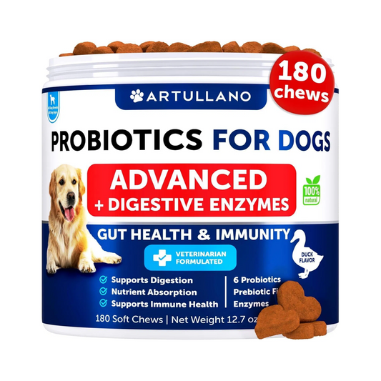 Probiotics For Dogs Support Gut Health Itchy Skin Allergies Immunity Yeast Balance Dog Probiotics And Digestive Enzymes With Prebiotics Reduce Diarrhea Gas 180 Probiotic Chews For Dogs - Gleeful Tails