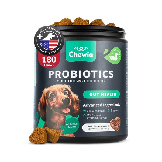 Probiotics For Dogs Gut Health Digestion Immunity Yeast Balance Itchy Skin Allergies Support Dog Probiotic Chews With Digestive Enzymes For Gut Flora Soft Treats With Pumpkin And Yeast Powder - Gleeful Tails
